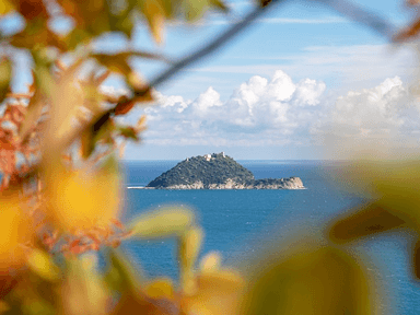 Isola Gallinara